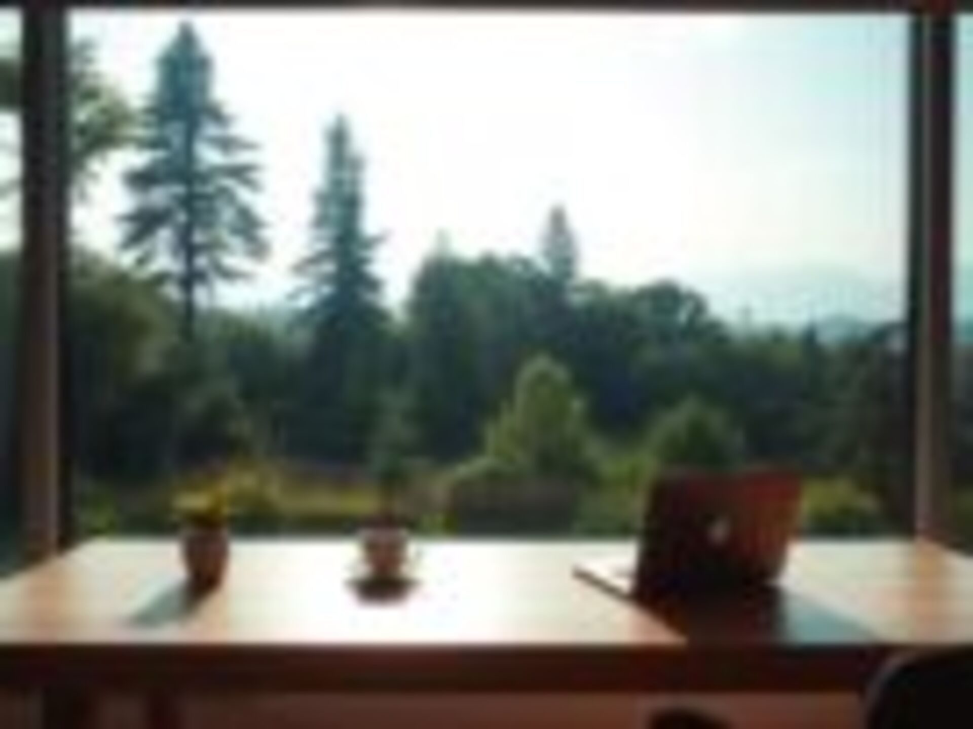 Vantagens de trabalhar pela internet